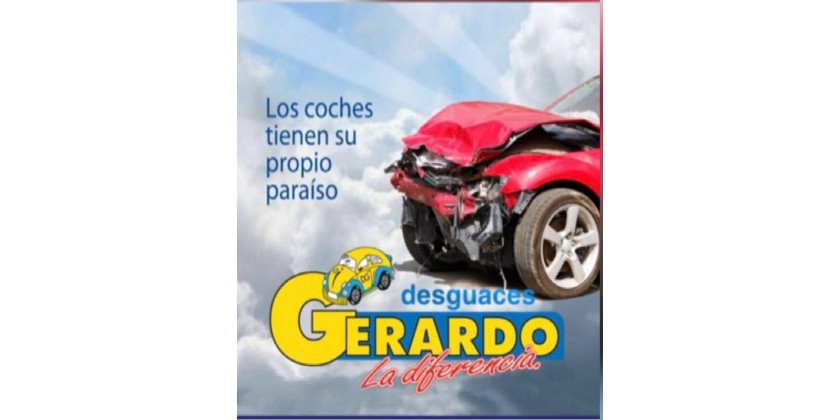 Desguaces Gerardo Logo