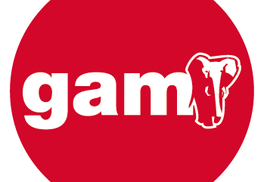 GAM Logo